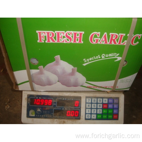 Normal white garlic packed in 1kg 10bags carton